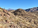 photo thumbnail #8