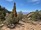 photo thumbnail #14