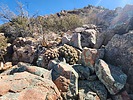 photo thumbnail #4