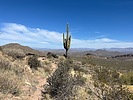 photo thumbnail #1