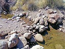 recent photo