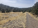 photo thumbnail #1