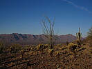 photo thumbnail #3