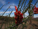 photo thumbnail #5