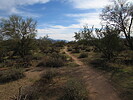 photo thumbnail #8