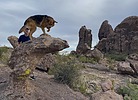 photo thumbnail #7