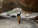 photo thumbnail #9