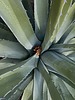 photo thumbnail #12