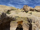 photo thumbnail #14