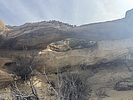 recent photo