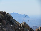 photo thumbnail #14