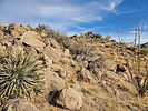 photo thumbnail #11