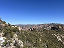 photo thumbnail #3