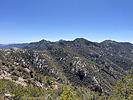 recent photo