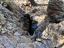 Featured Full Photo