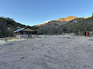 recent photo