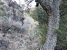recent photo