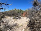 photo thumbnail #15