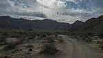 photo thumbnail #3