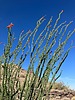 photo thumbnail #5