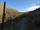 photo thumbnail #8