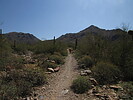 photo thumbnail #12