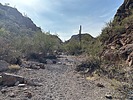 photo thumbnail #7