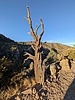 photo thumbnail #8
