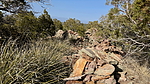 photo thumbnail #8