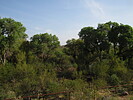 photo thumbnail #8