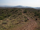 photo thumbnail #12