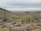 photo thumbnail #3