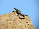 photo thumbnail #13