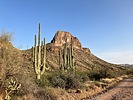 2025-03-29 :1: Reavis Ranch - Peak 5409 - Iron Mtn :: John10s