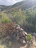 photo thumbnail #2