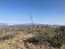 2025-03-29 :1: Reavis Ranch - Peak 5409 - Iron Mtn :: John10s