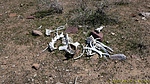 photo thumbnail #12