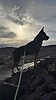 photo thumbnail #3