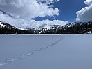 photo thumbnail #1