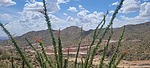 photo thumbnail #5