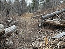 photo thumbnail #11