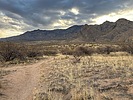 photo thumbnail #2