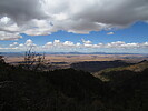 photo thumbnail #6