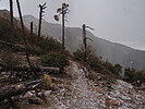 photo thumbnail #12