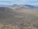 photo thumbnail #11