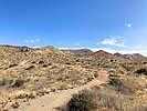 2025-04-02 :1: Bronco TH to Bartlett Dam RD - Maricopa Trail :: kingsnake