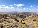 2025-04-02 :1: Bronco TH to Bartlett Dam RD - Maricopa Trail :: kingsnake