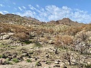 photo thumbnail #7