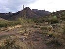 photo thumbnail #2