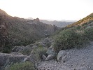 photo thumbnail #1